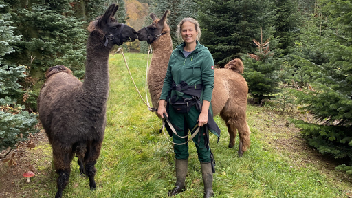 Anne Knein lebt zusammen mit Lamas und Alpakas Die Seite mit der