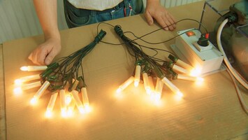 Geteiltes Bild mit: Der Maus, dem Elefanten und der Ente vor einem Weihnachtsbaum, hï¿½ngenden angezï¿½ndeten Kronleuchtern, Glï¿½hbirnen, die auf einem grï¿½nen Tisch liegen, Kï¿½pt'n Blaubï¿½r, der auf seinem Schiff vier Elche transportiert