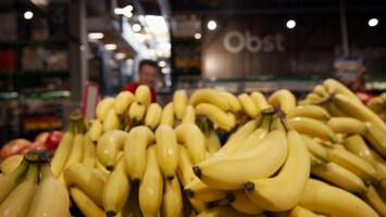 Geteiltes Bild mit Bitzer und Timmy, Andrï¿½ und vielen Bananen im Supermarkt, Klinik-Clown-Frauen hintereinander in einer Reihe, die Maus mit einer roten Nase und einer weiï¿½-reot gekringelten Socke