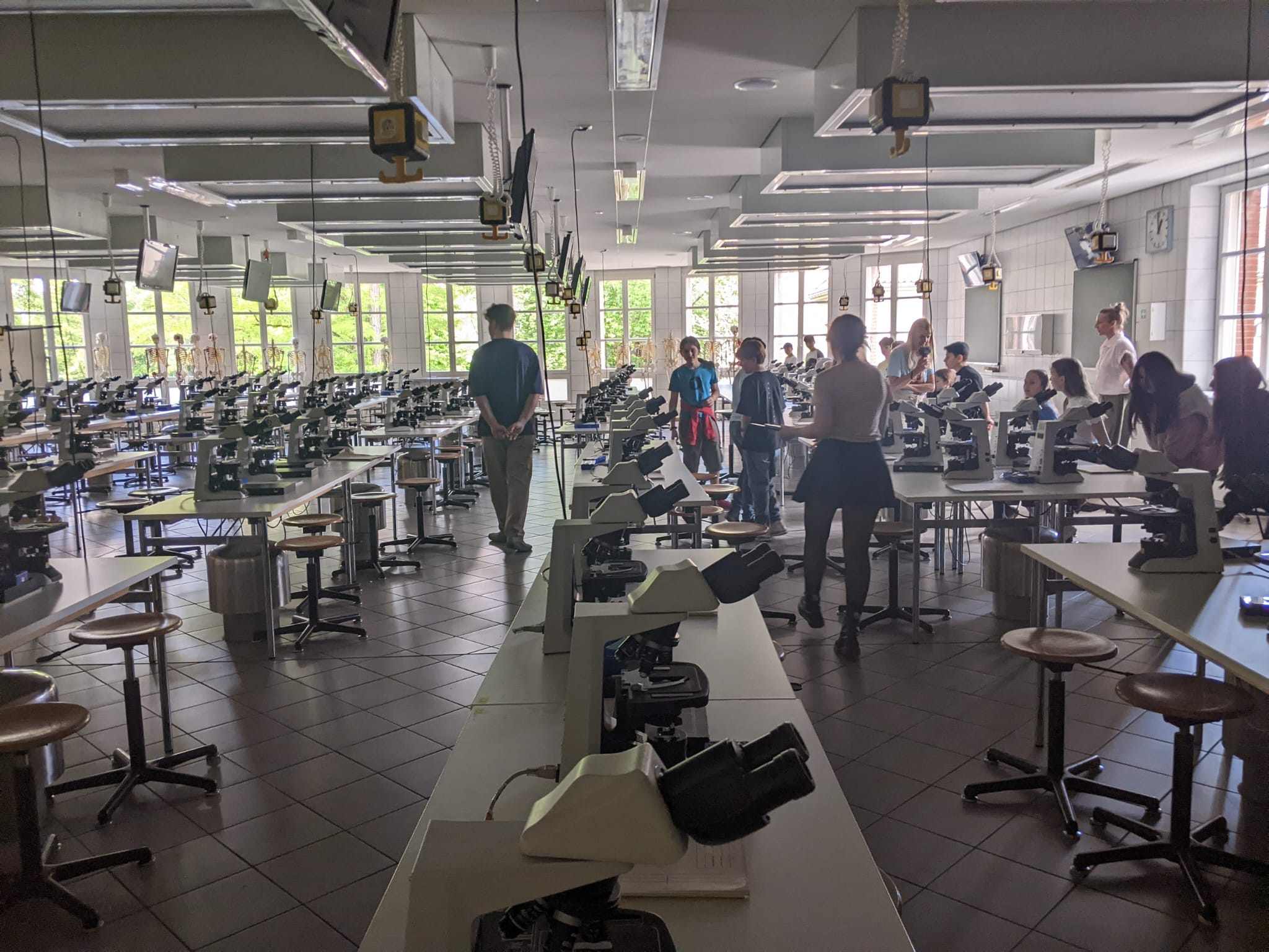 Eine Gruppe von Schülerinnen und Schülern sitzt zusammen in einem großen Raum vor Mikroskopen.