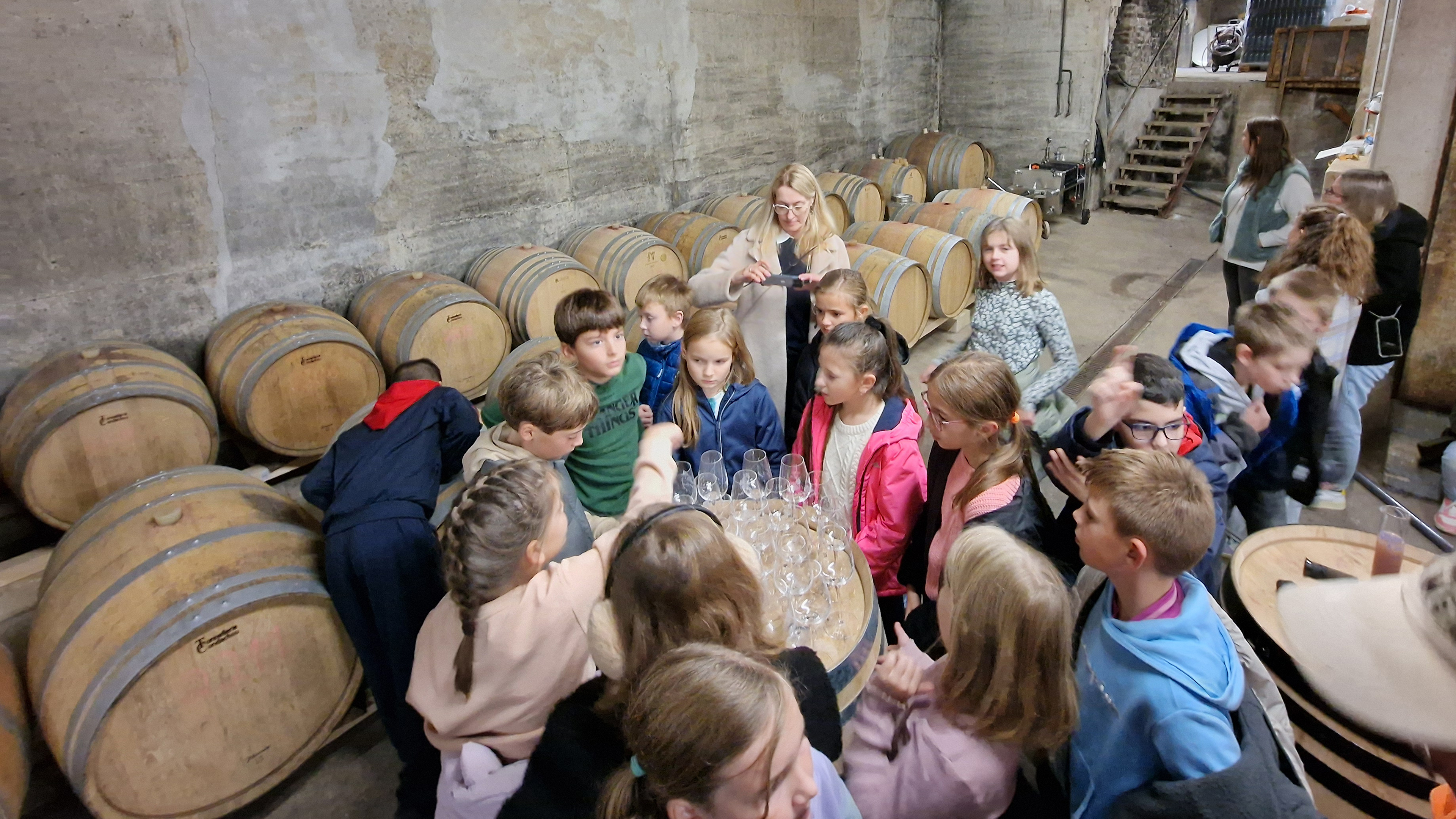 MausKlasse der GS an der Landskrone Heimersheim auf Reportagetour beim Winzer